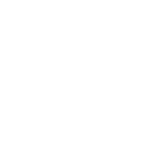 TODAAM